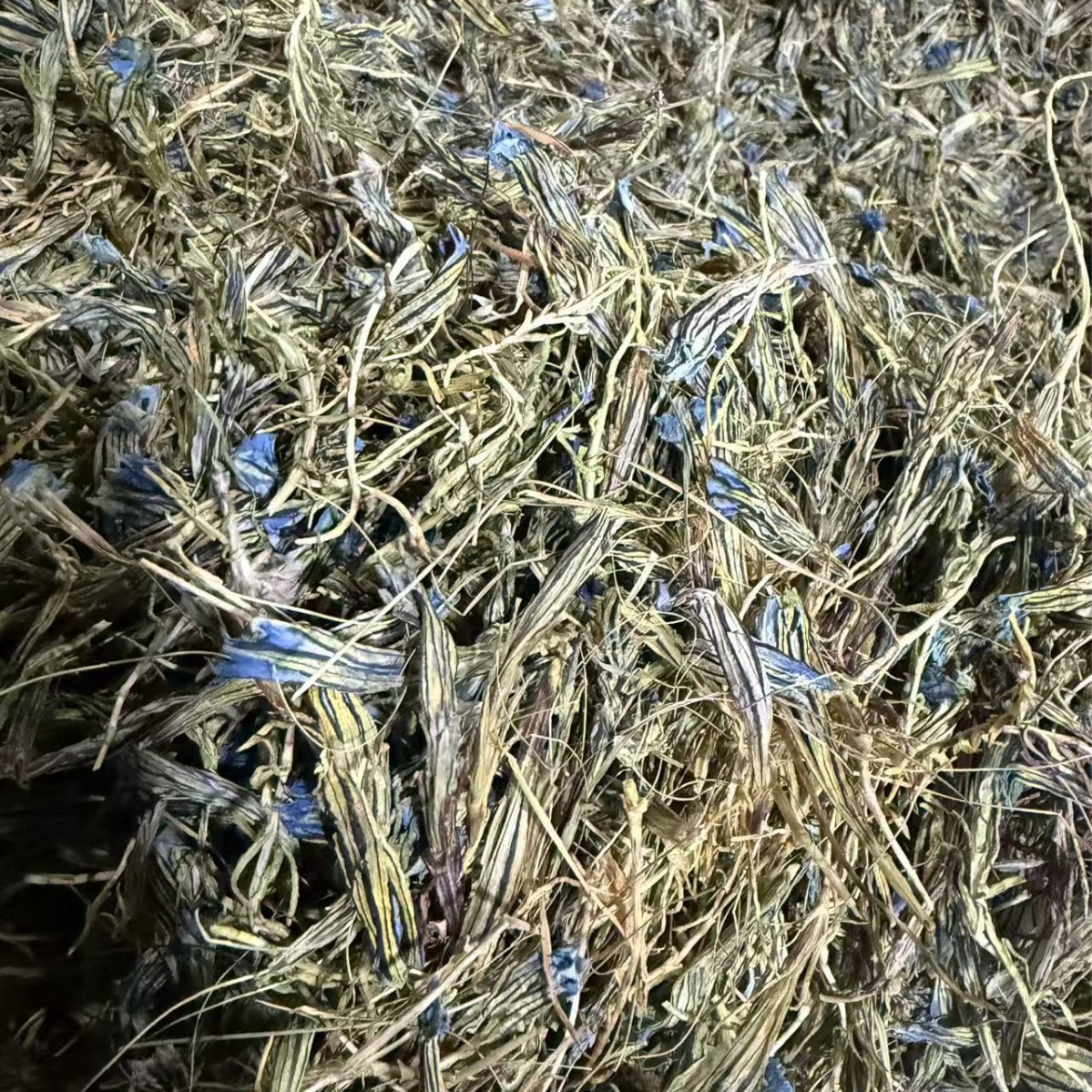 Dried Gentian Flower Long Dan Hua Herbal Tea for Brewing and Decoction 10g Box - Image 2