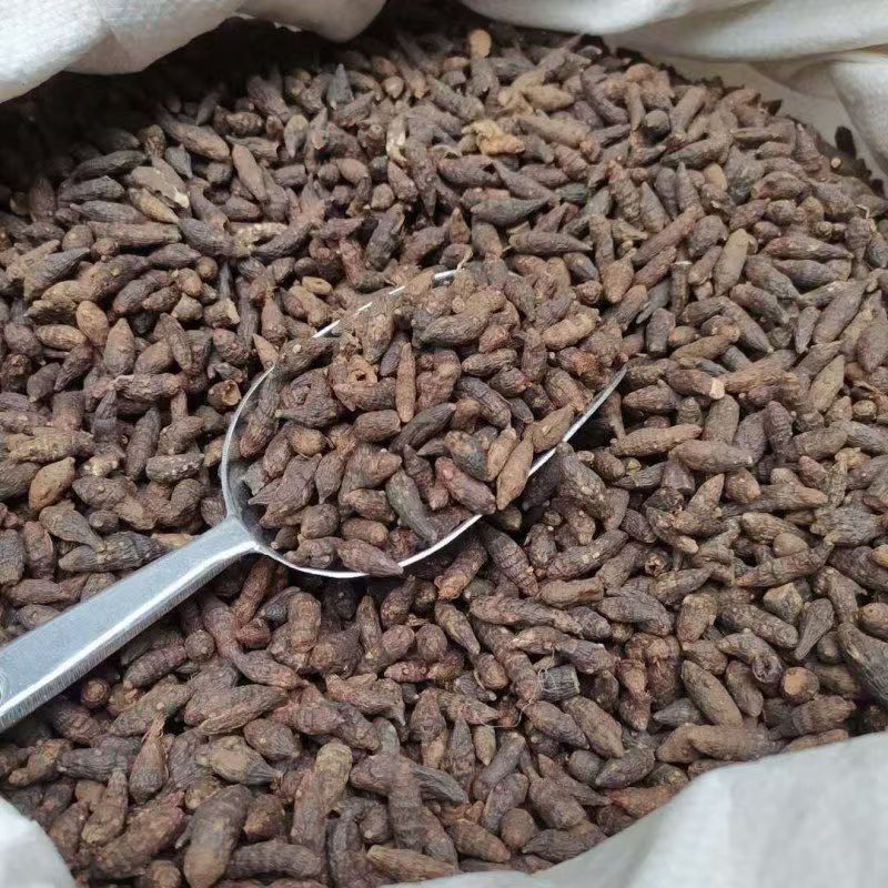 Xiang Fu Cyperus Rhizome Powder 500g Guangxi Dried Herb for Culinary and Traditional Use - Image 2