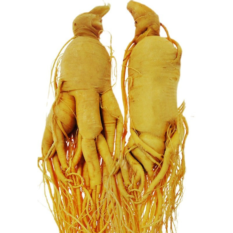 Ginseng Root Ren Shen 长白山人参 Whole Dried Root for Wine Infusion and Cooking 100g - Image 5
