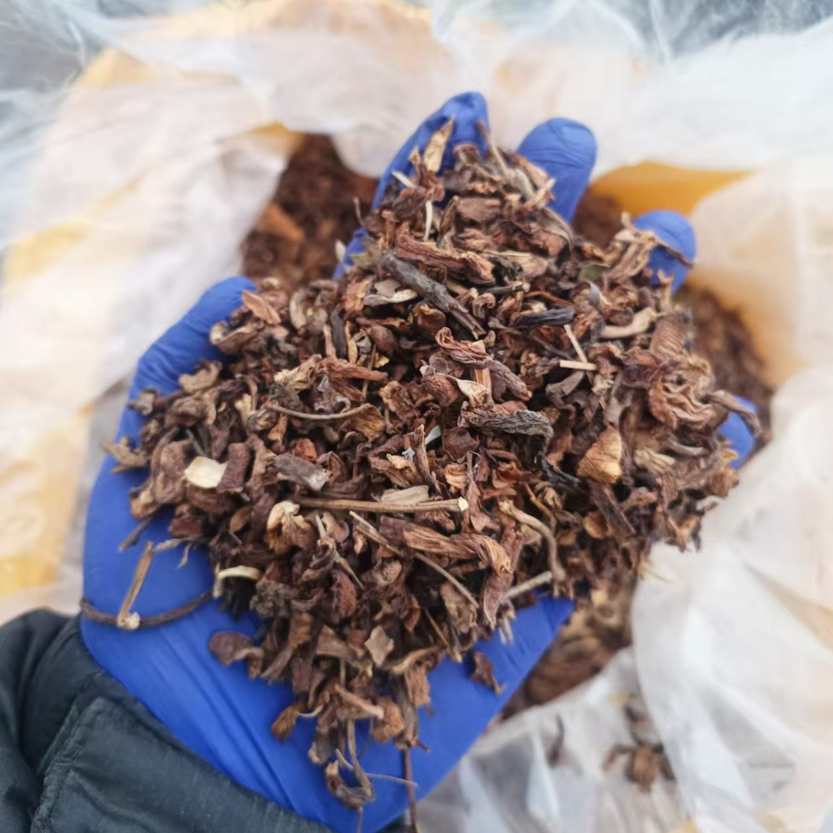 Dried Hazel Mushroom Pieces for Soup 500g Jilin Origin Umami Broth Ingredient - Image 2