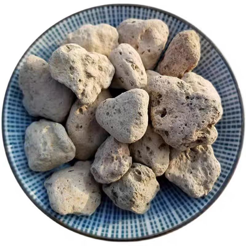 Hai Fu Shi (Pumice / Costazia aculeata) — Dried Mineral Herb for TCM Decoction - Image 5