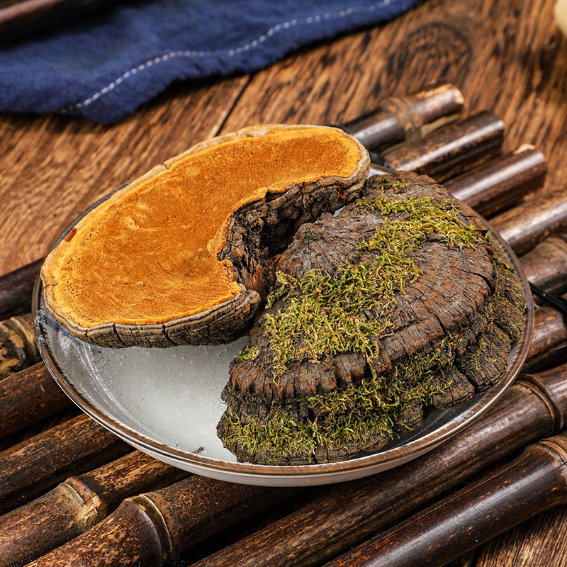 Sang Huang (Sanghuangporus sanghuang) — Wild-Grown Tibetan Medicinal Mushroom, Sulfur-Free, Custom Milling - Image 2