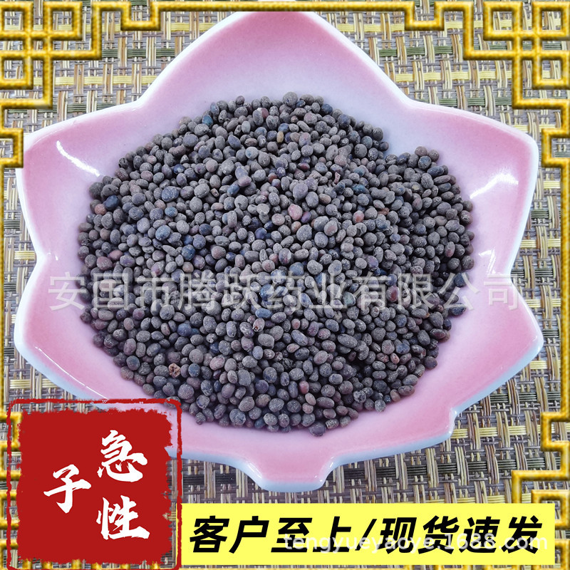 Dried Garden Balsam Seeds Ji Xing Zi 急性子 Impatiens balsamina Traditional Chinese Herb 500g Bag - Image 4