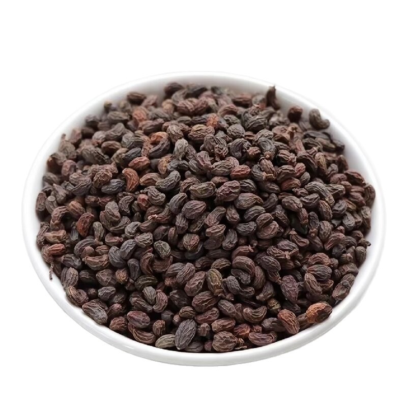 Nü Zhēn Zǐ (Ligustrum lucidum) — Dried Glossy Privet Fruit for Tea, Wine & Pillow - Image 5
