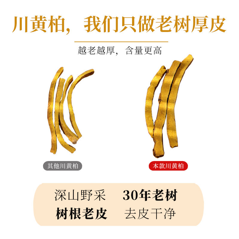 Wild Sichuan Phellodendron Bark Huang Bai 100g Dried TCM Herb for Decoction and External Wash - Image 2