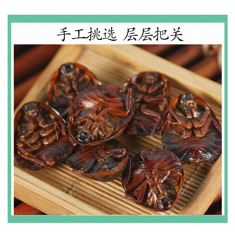 Wild Ground Beetle Tu Bie Chong Dried Whole Insect 500g Traditional Chinese Herb for Decoction and Grinding - Image 3