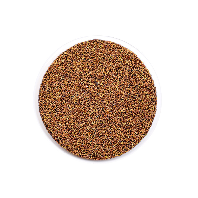 Premium Wild Dodder Seed Cuscuta Tu Si Zi 500g Dried Herbal Tea Seeds - Image 5