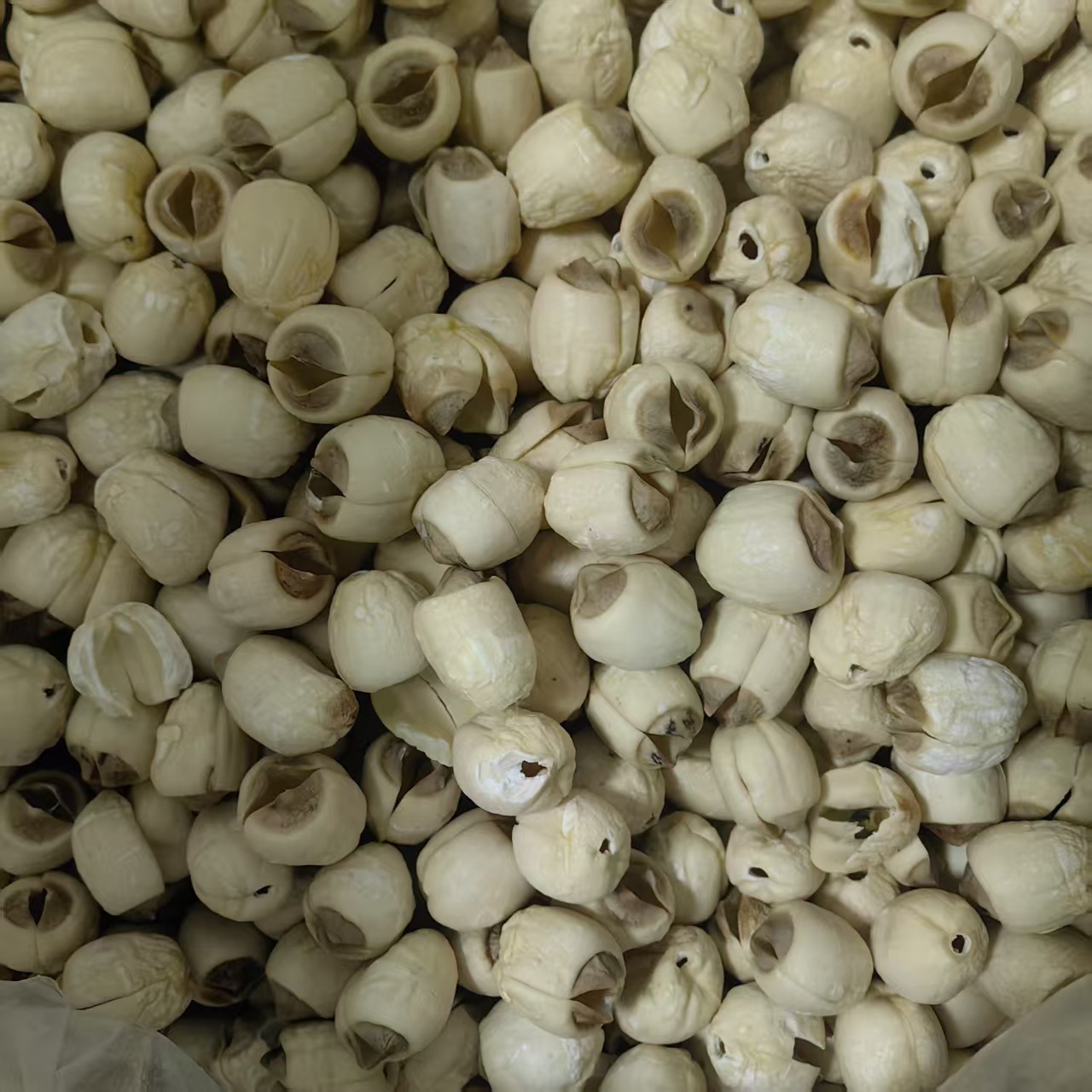 Dried Lotus Seeds Lian Zi 500g Coreless White Lotus Seed Kernels from Hunan for Soup Congee and Herbal Cooking - Image 3