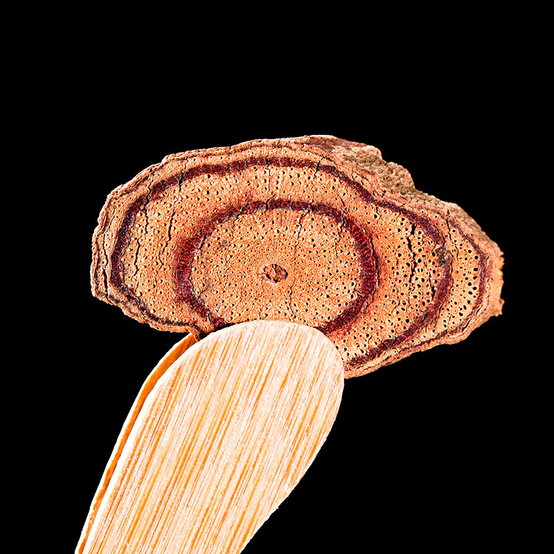Ji Xue Teng Powder (Spatholobus suberectus) — Dried Food Herb, 500g - Image 4