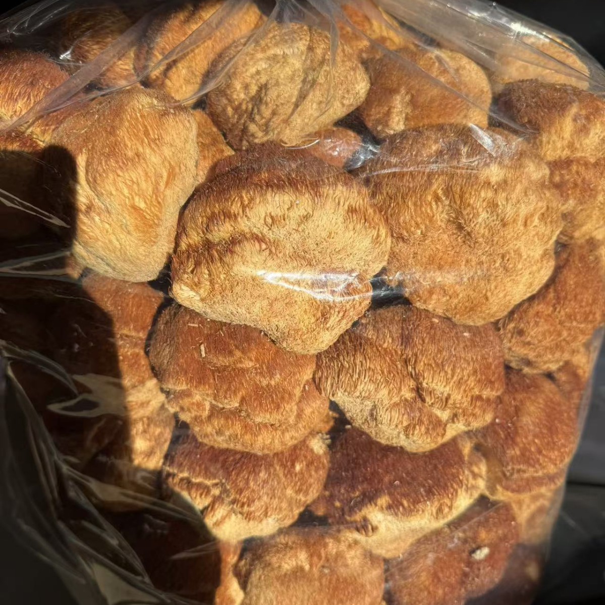 Dried Lion's Mane Mushroom Hou Tou Gu 500g Northeast China Dried Mushroom for Soup and Tea - Image 2