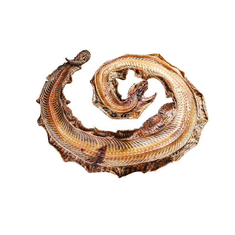 Qi She / Wu Shao She (Agkistrodon & Zaocys) — Dried Snake Herb for Decoction & Powder - Image 5