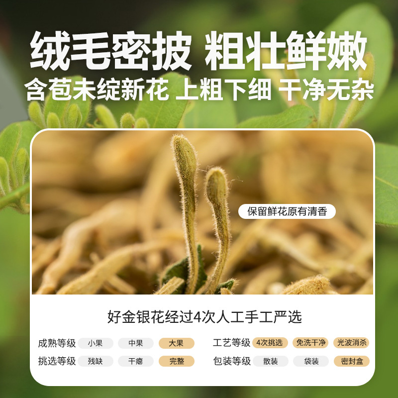 Honeysuckle Flower Tea Jin Yin Hua 80g Can Dried Herbal Tea for Daily Brewing - Image 2