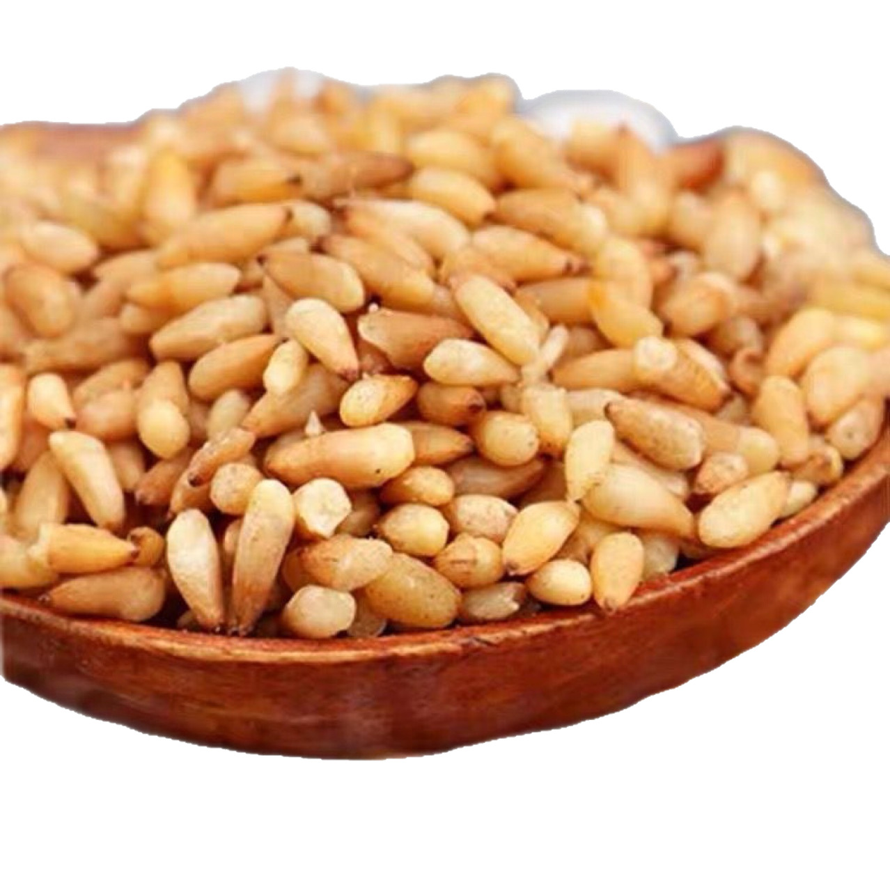 Bai Zi Ren (Platycladus orientalis Seed) — Wild-Harvested Shelled Arborvitae Seeds, Dried Food Herb - Image 5