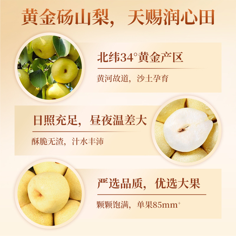 Loquat & Autumn Pear Paste (Pipa Qiuli Gao) — TCM-Simmered Herbal Throat Paste, 260g - Image 4