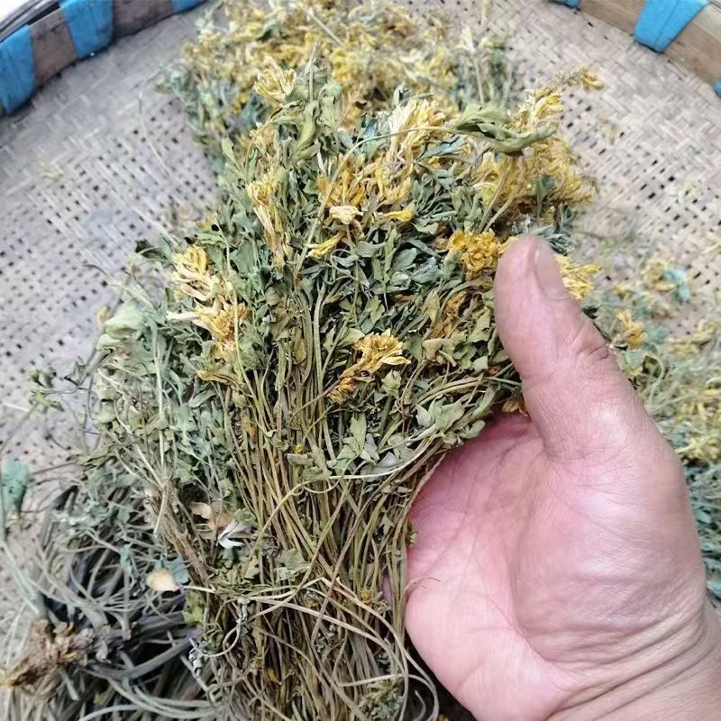 Yan Huang Lian Root (Corydalis saxicola) — Dried Bitter Food Herb for Cooking & Decoction - Image 3