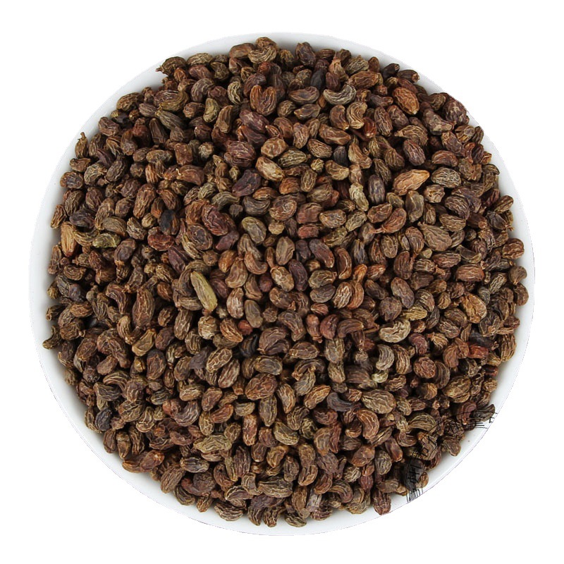 Nǚ Zhēn Zǐ (Ligustrum lucidum) Dried Fruit 500g — Traditional Yin-Nourishing Herb, Pairs with Han Lian Cao & Tu Si Zi - Image 3