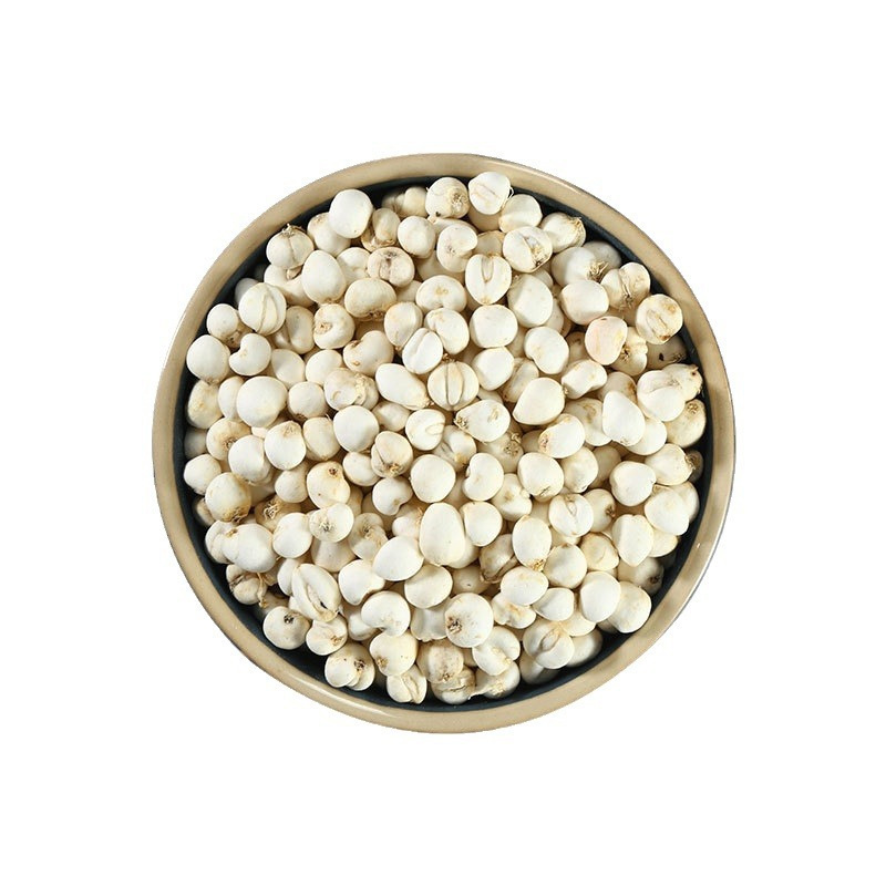Chuan Bei (Fritillaria cirrhosa) — Dried TCM Herb for Lung-Soothing Teas & Soups - Image 5