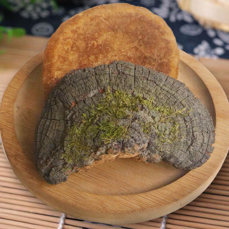 Sanghuang Mushroom 500g Dried Phellinus from Mulberry Tree Traditional Herbal Tea and Decoction Herb - Image 5