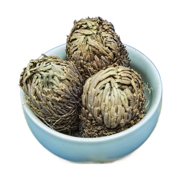 Dried Selaginella Herb Juan Bai 九死还魂草 Wild Resurrection Plant 100g Sample Pack - Image 5