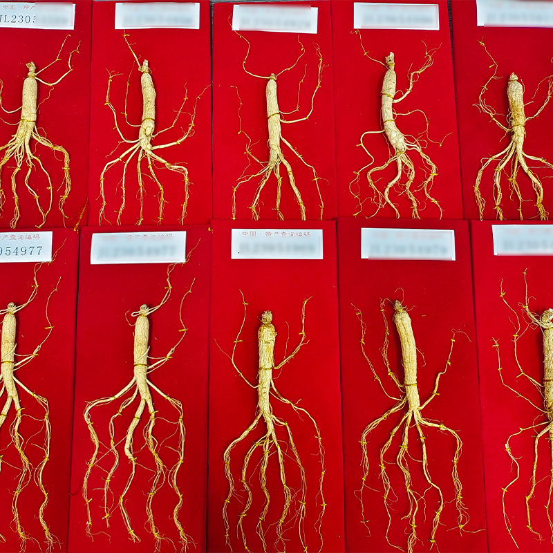 Dried Ginseng Root Gift Box Renshen 10g Wooden Gift Set for Cooking and Traditional Herbal Use - Image 2