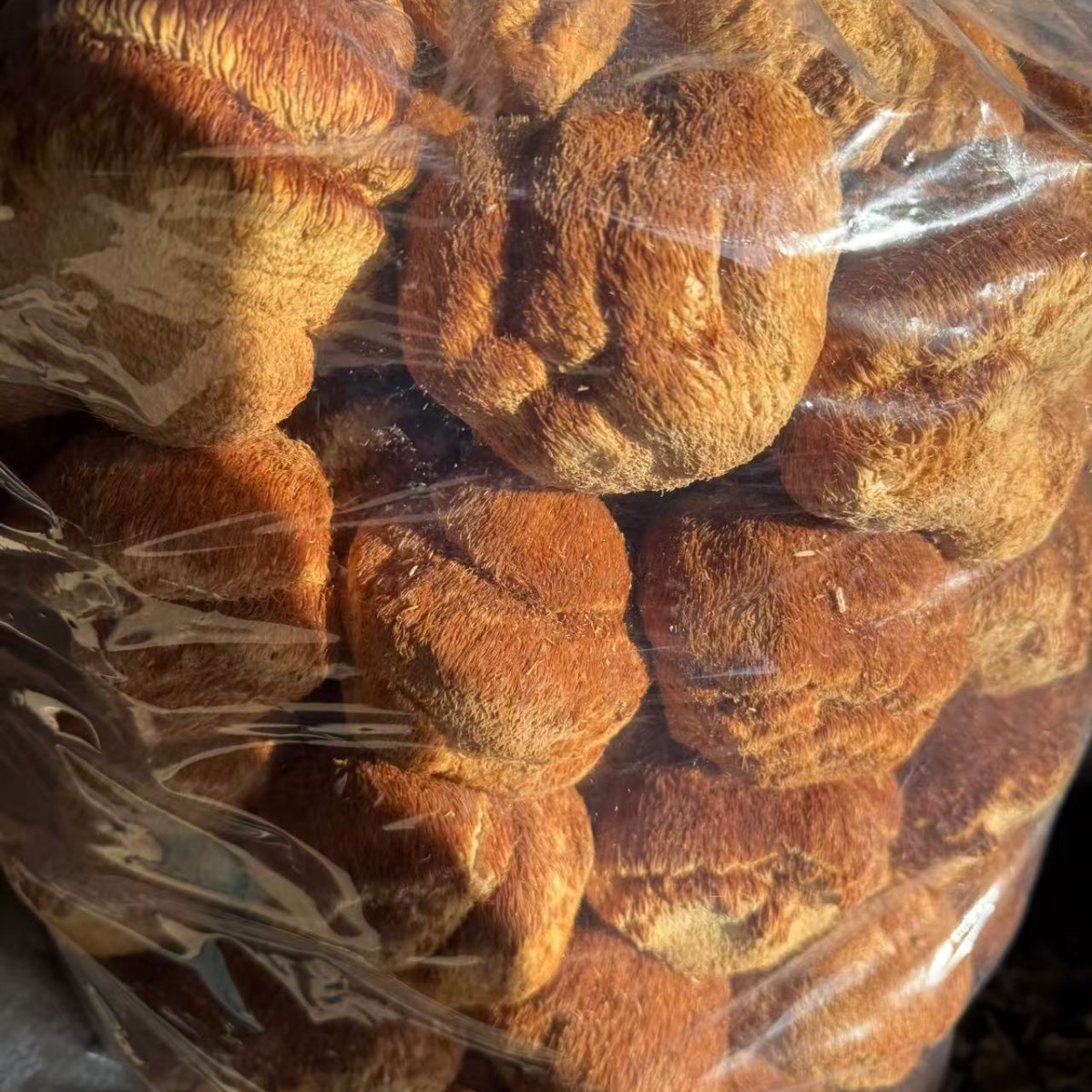 Dried Lion's Mane Mushroom Hou Tou Gu 500g Northeast China Dried Mushroom for Soup and Tea - Image 4