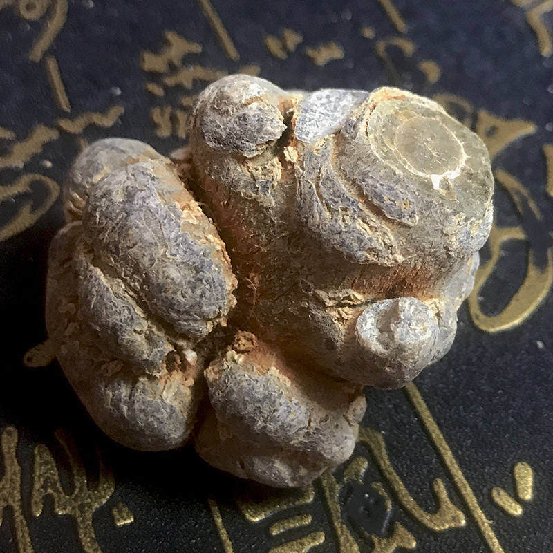 San Qi Notoginseng Powder 500g Yunnan Wenshan Tian Qi Root Powder Traditional Herbal Supplement - Image 4