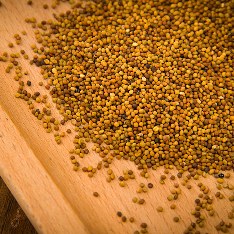 Dried Cuscuta Seeds Tu Si Zi 500g Chinese Dodder Seeds for Tea Wine and Decoction - Image 4
