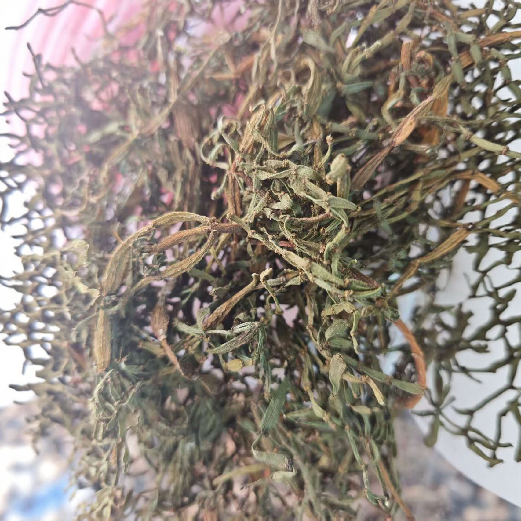 Pang Xie Jiao (Viscum articulatum) — Wild Yunnan Ancient-Tree Herbal Tea Twig, 100g - Image 4