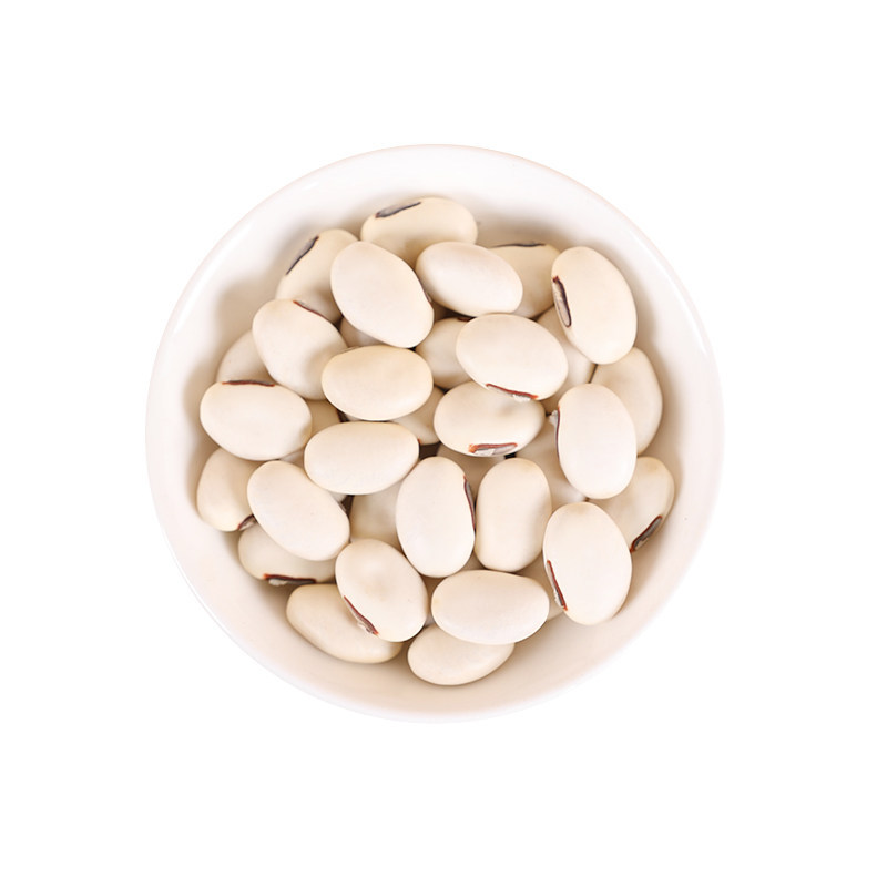 White Kidney Bean Bai Yun Dou 500g Dried Phaseolus vulgaris Seeds for Soups and Herbal Cooking - Image 5