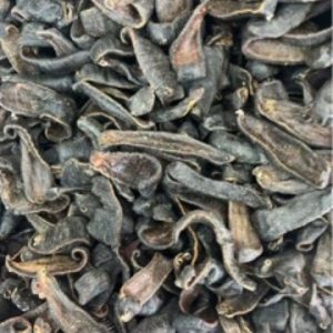Dried Leech (Hirudo nipponica / Poecilobdella manillensis) — Sun-Dried Medicinal Leech, Food-Grade Herb
