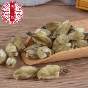 Xin Yi Hua (Magnolia biondii) — Dried Magnolia Flower Buds, Food-Herb for Tea & Soup