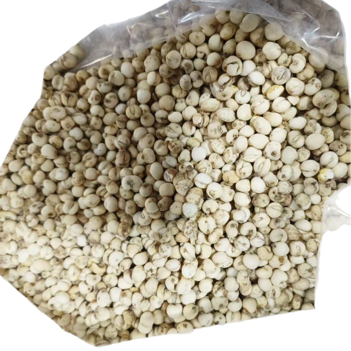 Dried Fritillaria Bulb Bei Mu 500g Bagged Herbal Decoction Pieces - Image 5