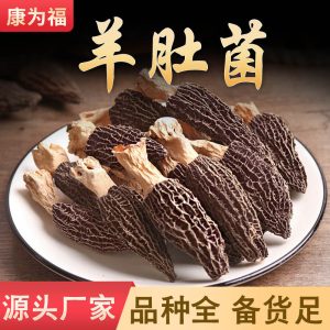 Morel Mushroom (Morchella spp.) — Dried Yunnan Wild Mushroom for Soup & Stew