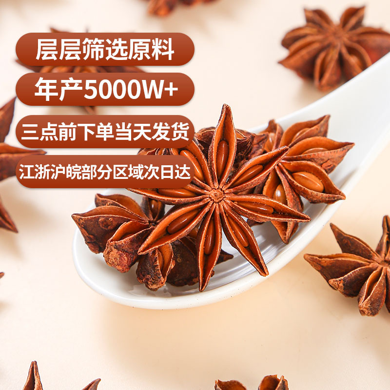 Star Anise (Illicium verum) — Guangxi Dried Whole Spice for Braising & Herbal Cooking - Image 4