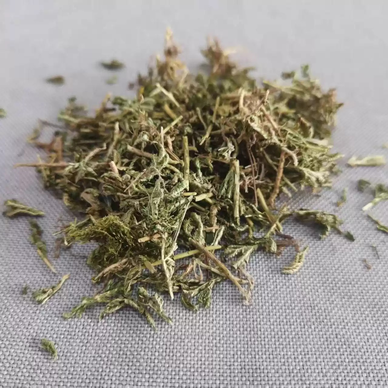 Shi Shang Bai Dried Selaginella Herb 500g Natural Sun Dried Whole Plant for Tea and Infusion - Image 2