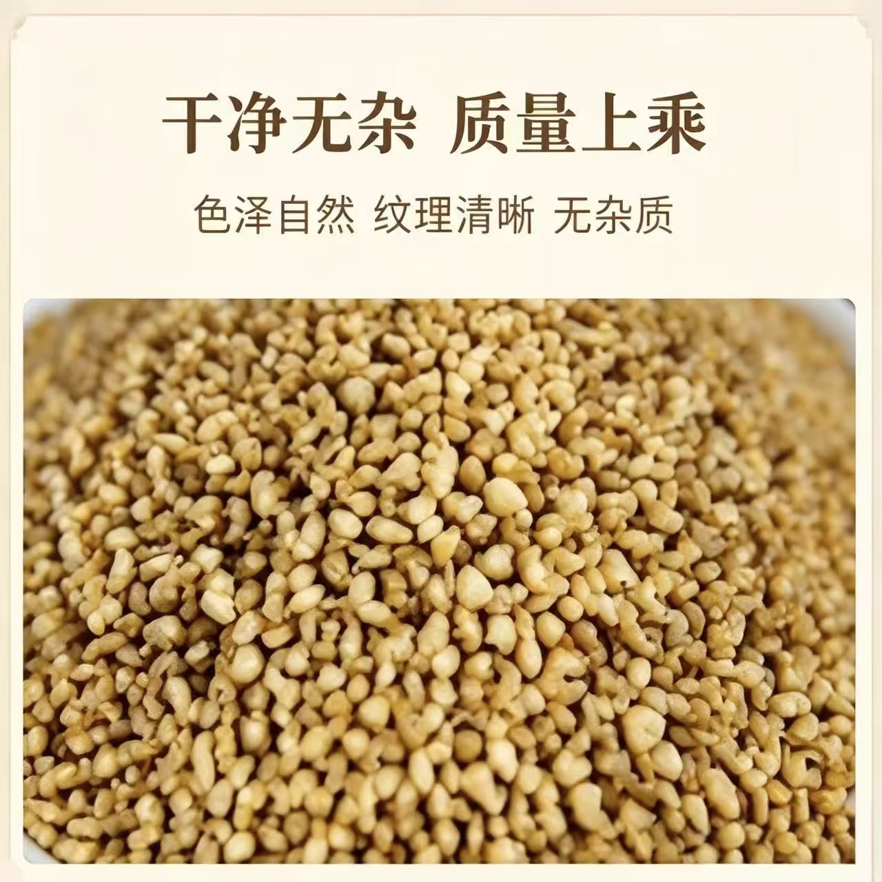 Platycladus Seed Bai Zi Ren Dried Herbal Seeds 1000g Bag for Tea and Decoction - Image 2