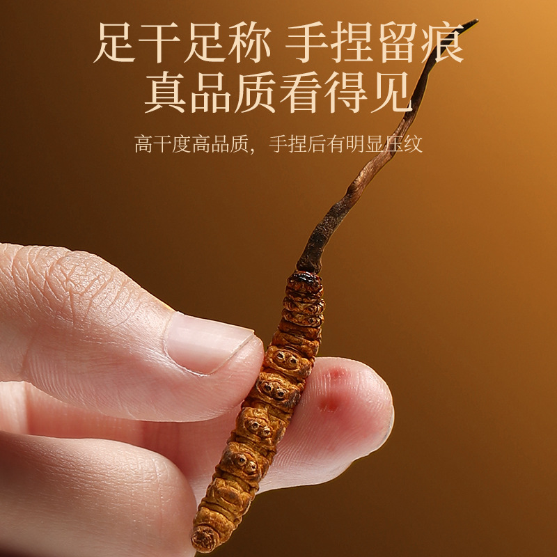 Premium Cordyceps Sinensis Gift Box 20g Wild-Harvested Qinghai Dong Chong Xia Cao - Image 4
