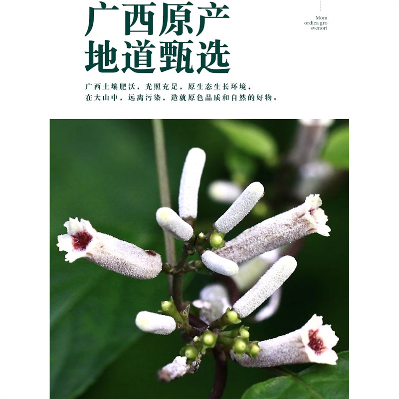 Ji Shi Teng Chicken Vine Herb with Atractylodes 500g Dried Chinese Herbal Blend for Decoction and Tea - Image 2
