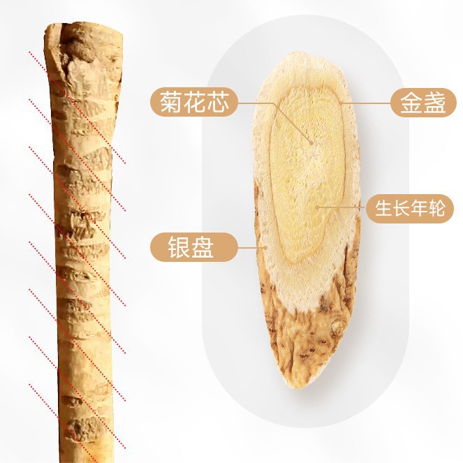 Dried Astragalus Root Slices Large Grade Huang Qi Bei Qi for Herbal Decoction and Soup 500g - Image 3