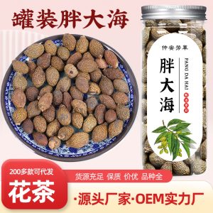 Pang Da Hai (Sterculia lychnophora) — Dried Malva Nut for Herbal Tea, 130g Jar