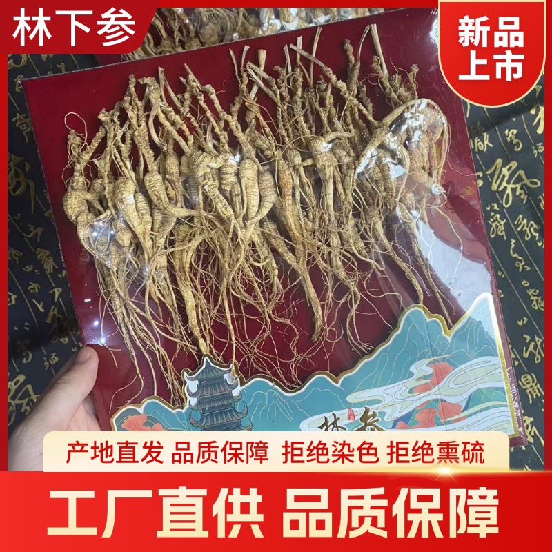 Dried Forest Ginseng Root Slices 50g Sun Dried Jilin Ginseng for Cooking and Soup - Image 4