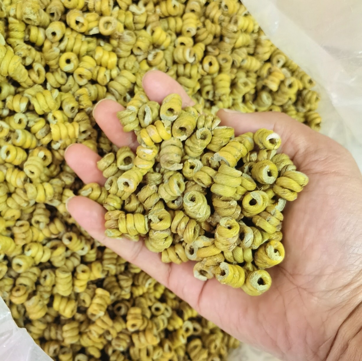 Huoshan Dendrobium Fengdou Granules Mi Hu Tie Pi Shi Hu Bulk 1kg Wholesale - Image 4