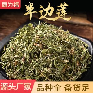 Ban Bian Lian (Lobelia chinensis) — Dried Wild-Grown Chinese Herb, 500g
