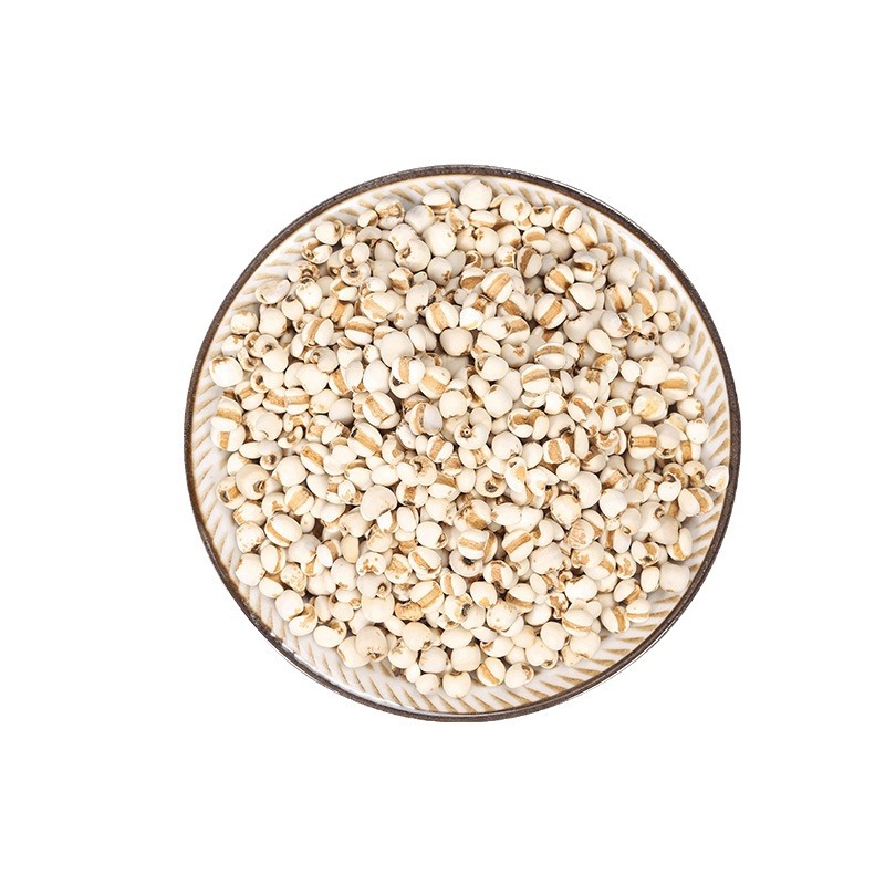 Yi Yi Ren (Coix Seed) — Puffed Job's Tears Grain, Ready-to-Eat & Soup-Ready 500g - Image 5