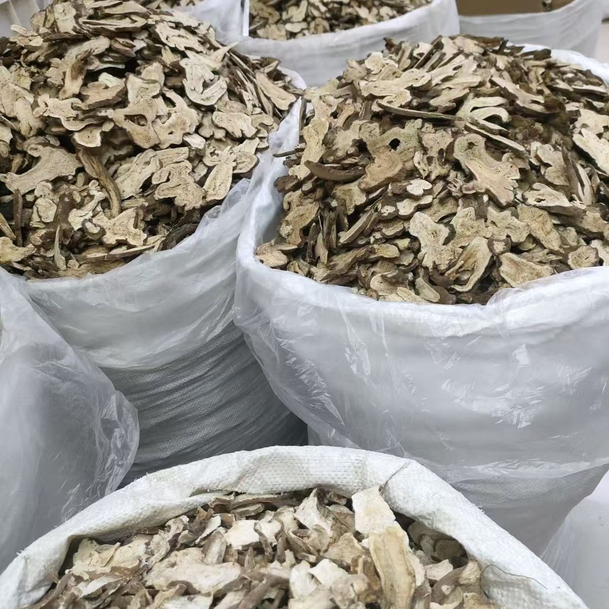 White Atractylodes Rhizome Bai Zhu Sliced Dried Herb 500g for Decoction and Tea - Image 2