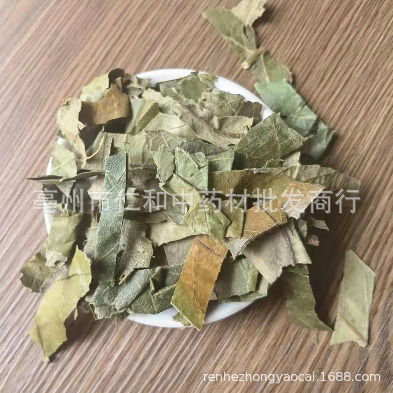 Dried Loquat Leaf Pi Pa Ye 枇杷叶 Traditional Chinese Herb for Herbal Tea and Decoction Sold by Weight - Image 2