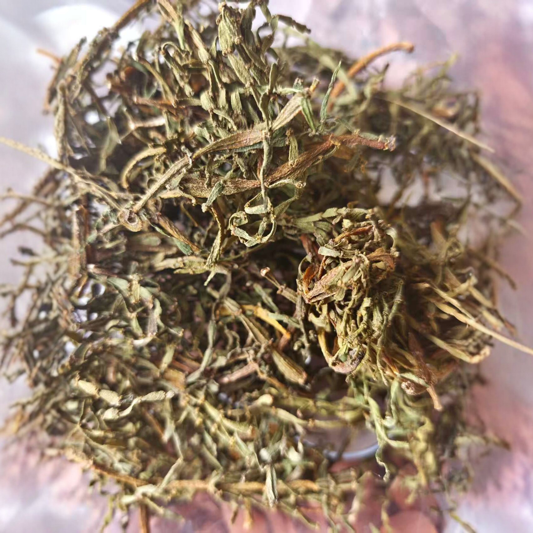 Pang Xie Jiao (Viscum articulatum) — Wild Yunnan Ancient-Tree Herbal Tea Twig, 100g - Image 3