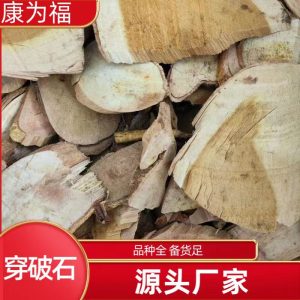 Chuan Po Shi Root (Cudrania cochinchinensis) — Dried TCM Herb, Powder Available