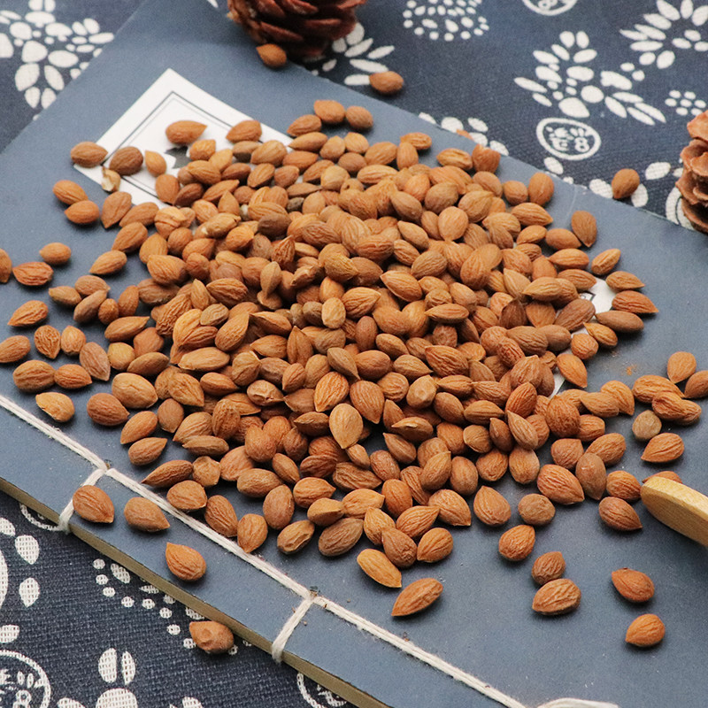Dried Chinese Bush Cherry Seed Yu Li Ren 500g Natural Herbal Decoction Ingredient - Image 4