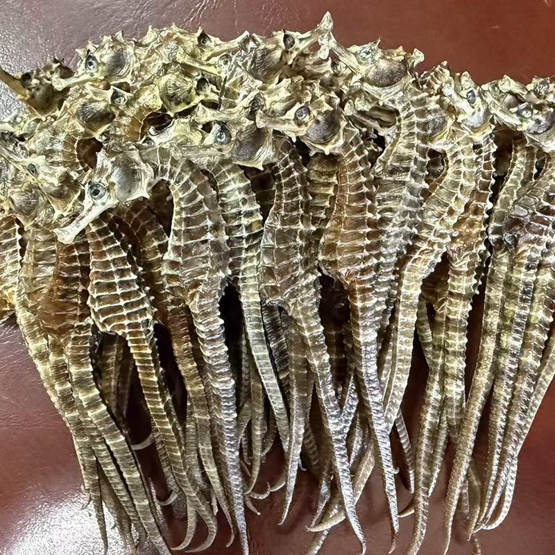 Dried Seahorse Hai Ma 3-4g Whole Dried Sea Dragon Tonic Herb for Culinary and Traditional Use - Image 4